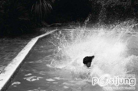 ATTITUDE UK: SELFRIDGES SWIMWEAR PORTFOLIO BY PHOTOGRAPHER MISCHA TAYLOR