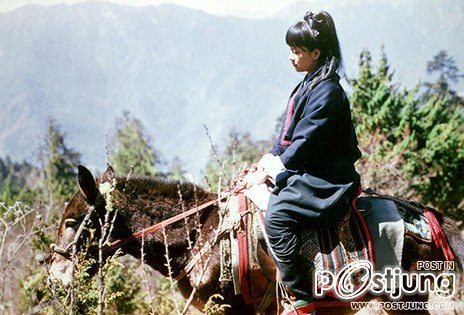 "อองชานชูจี ผู้หญิงท้าอำนาจ " ใน the lady หนังที่ อิงเรื่องจริง