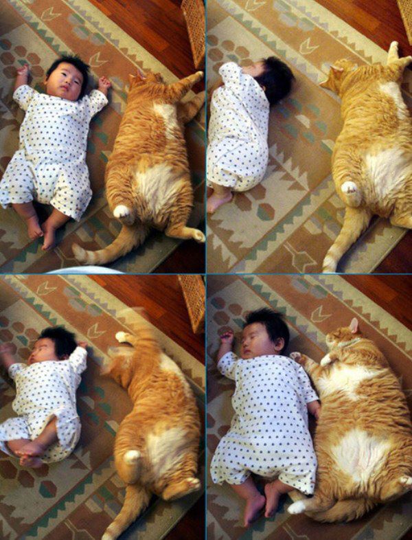 ภาพเพื่อความบันเทิง