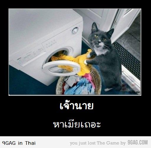 9GAG