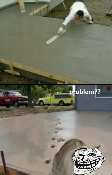9GAG