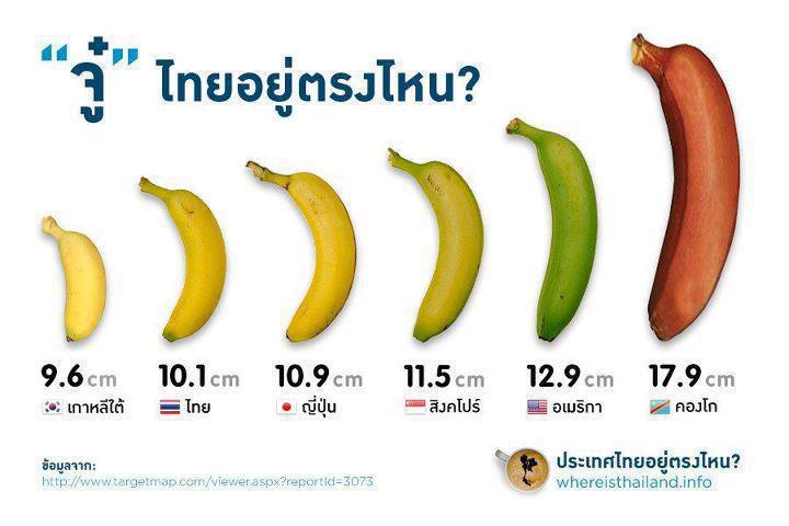 เรื่องแปลกแต่จริง no2