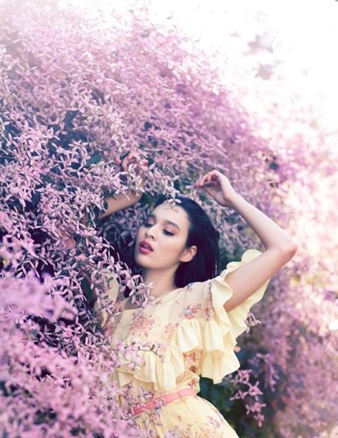 VOLUME vol. 7 no. 162 January 2012