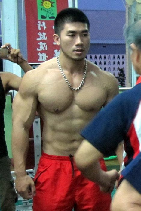 Muscledasian