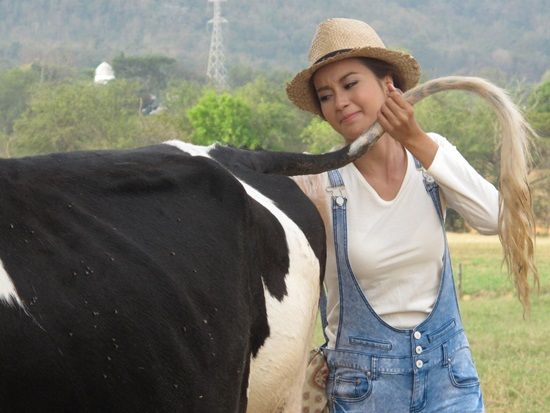 บีม ประกบ น้ำฝน ใน แม่แตงร่มใบ เวอร์ชั่นใหม่