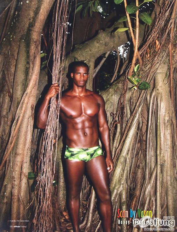 เข้มแบบใหน