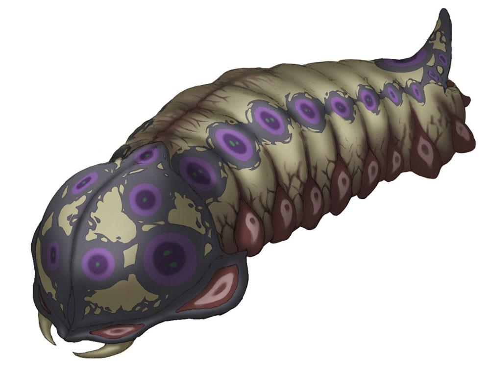 Pandora's Tower [Wii]