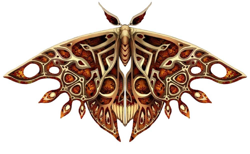 Pandora's Tower [Wii]