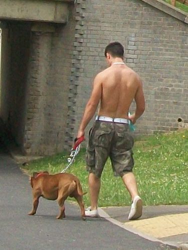 แด่คนรักน้องหมาเหมือนกัน