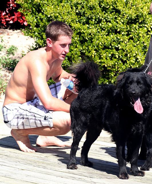 แด่คนรักน้องหมาเหมือนกัน