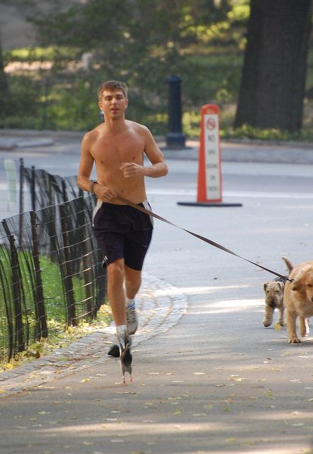 แด่คนรักน้องหมาเหมือนกัน