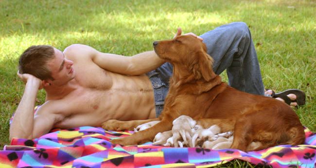 แด่คนรักน้องหมาเหมือนกัน