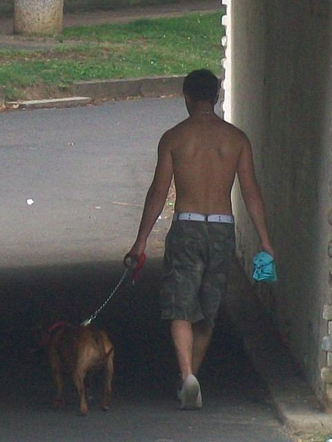 แด่คนรักน้องหมาเหมือนกัน