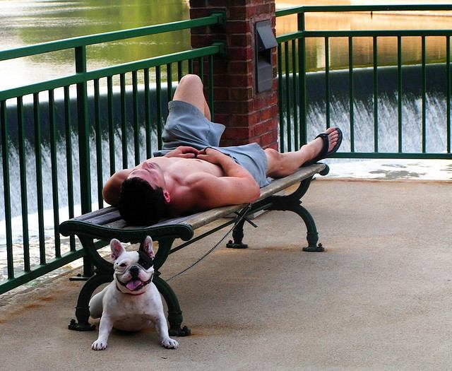 แด่คนรักน้องหมาเหมือนกัน