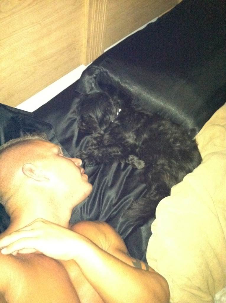 แด่คนรักน้องหมาเหมือนกัน