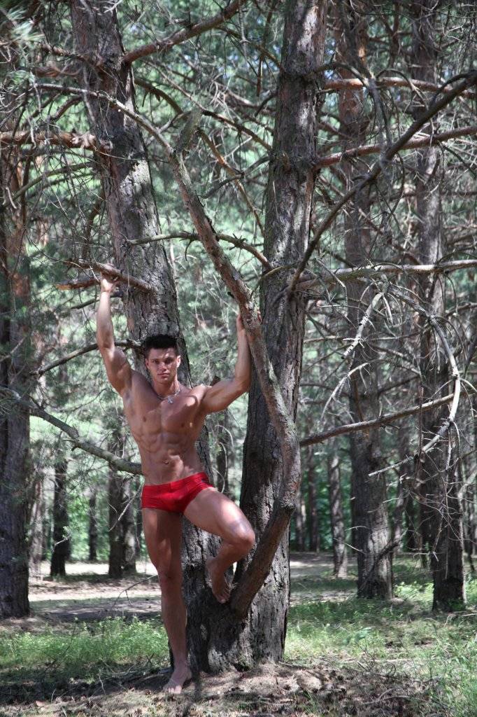 Random Model: Johannes