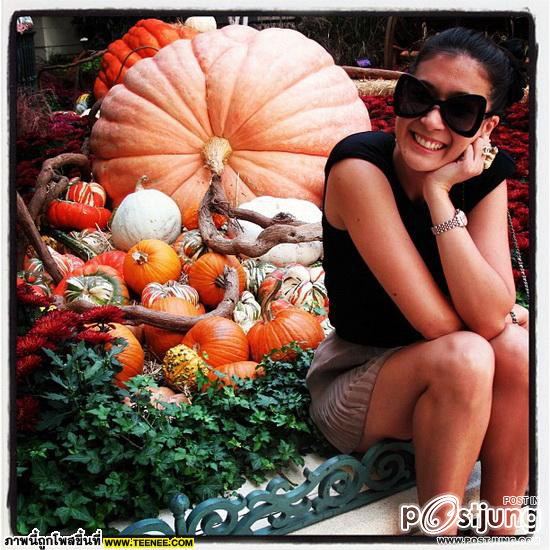 เอมี่ กลิ่นประทุม - ซี ศิวัฒน์