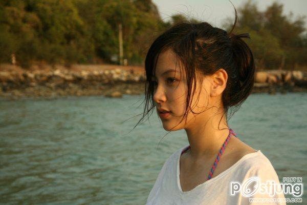 ใบเฟิร์นนนนนนนน