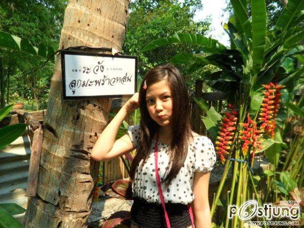 ใบเฟิร์นนนนนนนน