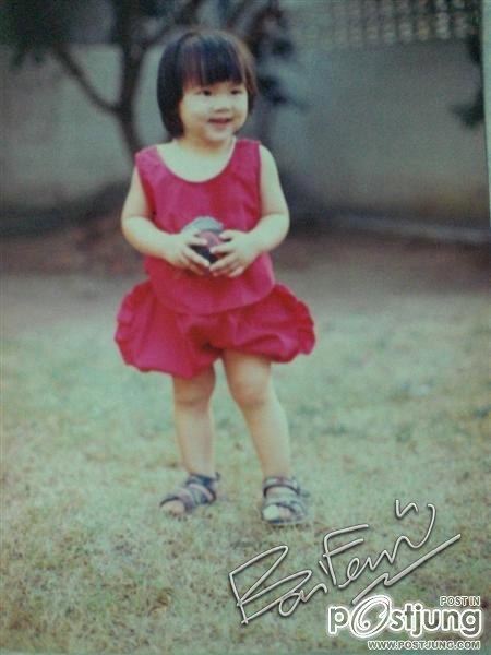 ใบเฟิร์นนนนนนนน