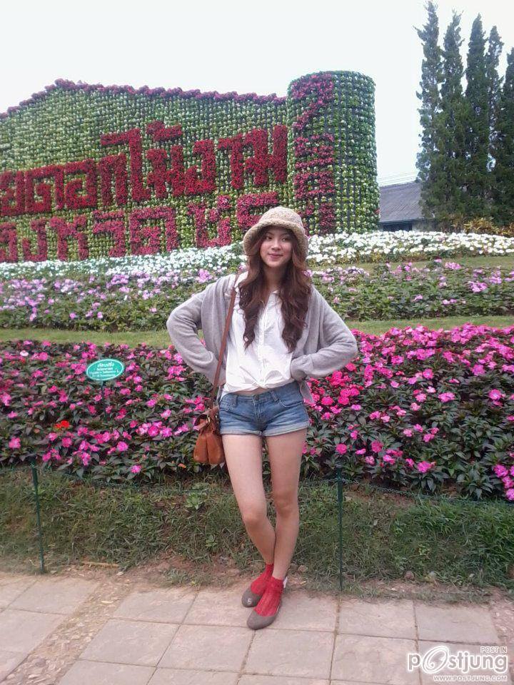 ใบเฟิร์นนนนนนนน