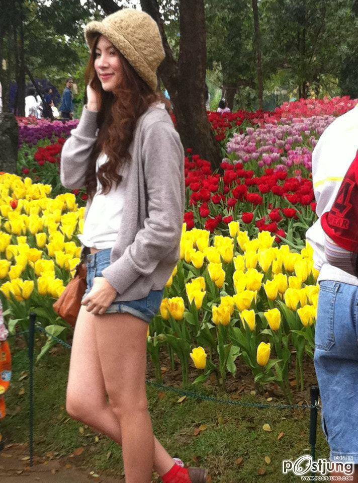 ใบเฟิร์นนนนนนนน