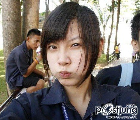 ใบเฟิร์นนนนนนนน