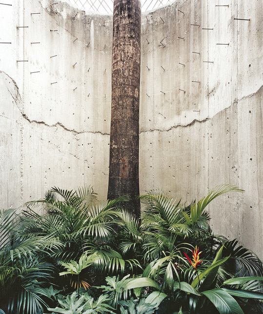 Puerto Rico Architecture - Authentic Remake of a Modern Puerto Rican Residence