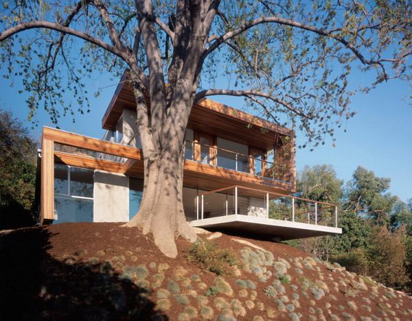 Modern Eco Friendly Tree House