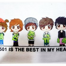 ss501