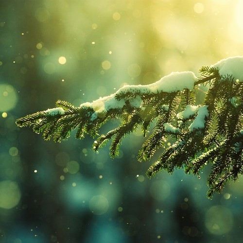 มองให้อาร์ท 12