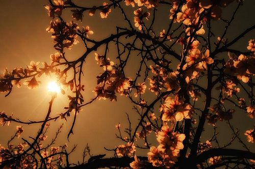 มองให้อาร์ท 12