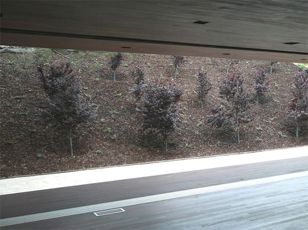 Japanese Traditional House in Carlsbad, CA &ndash; a modern escape into the world of old Japanese traditio