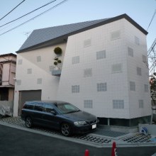 Modern Japanese House - cute ladybug design