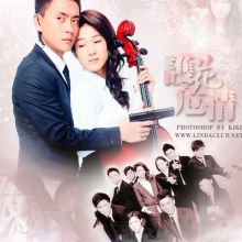 Witness Insecurity (護花危情) (TVB, 2012)