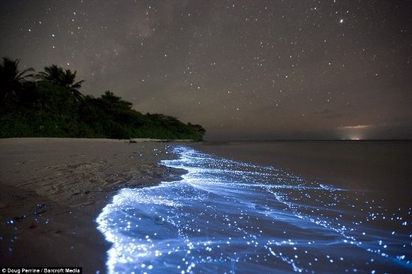 ทะเลเรืองแสง ที่หมู่เกาะมัลดีฟส์