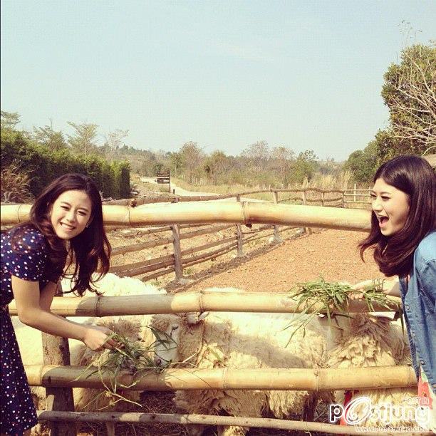 เฟย์ ฟาง แก้ว