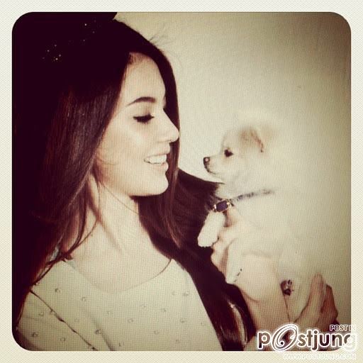 ใหม่ ดาวิกา