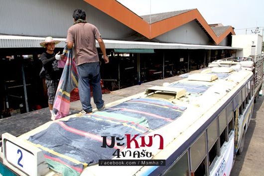 หนังใหม่ มะหมา 4 ขาครับ ภาค2