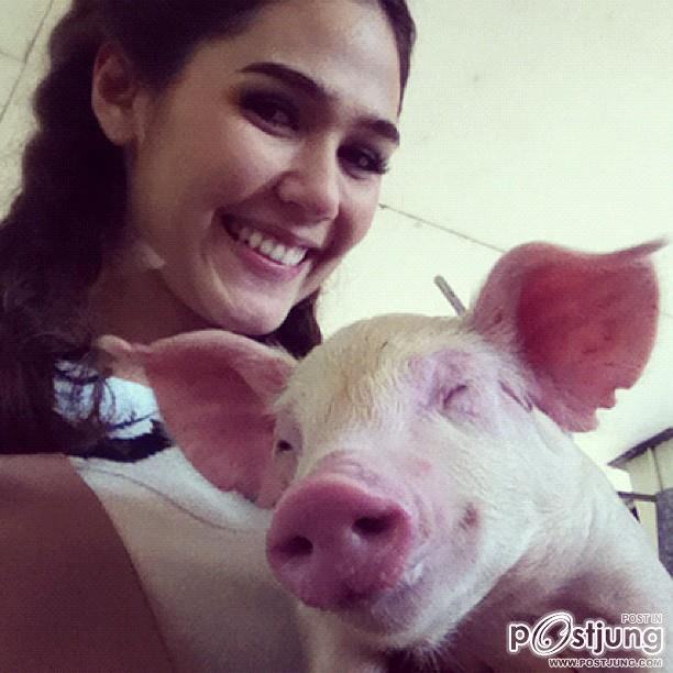 Pix ชมพู่ อารยา เอ ฮาร์เก็ต