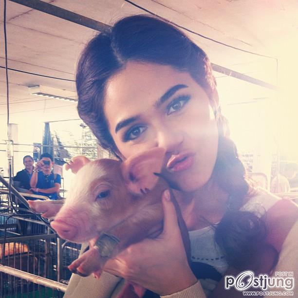 Pix ชมพู่ อารยา เอ ฮาร์เก็ต