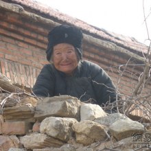 Mother wanted to do the dog of your home