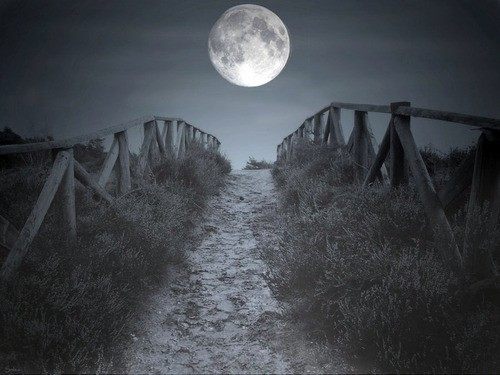 Places I&rsquo;d Like to Go