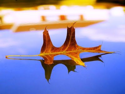 Orange & blue picture