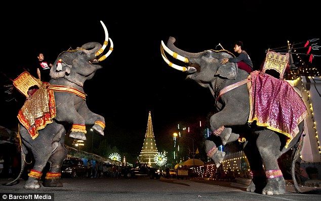 ช้างกับประเทศไทย