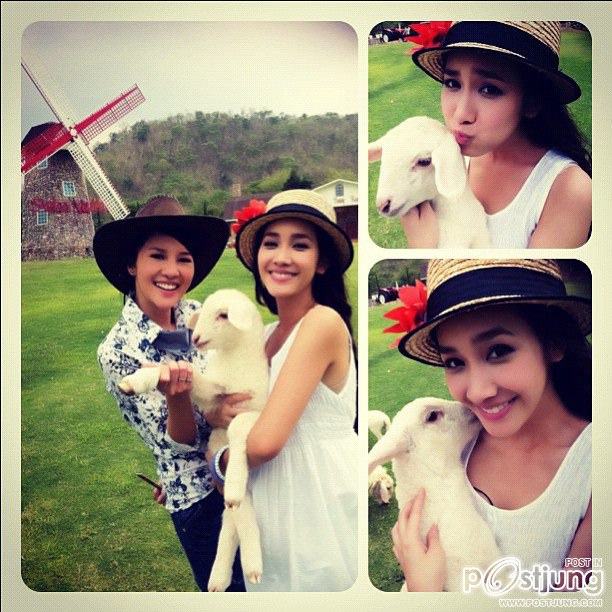 มิน พีชยา