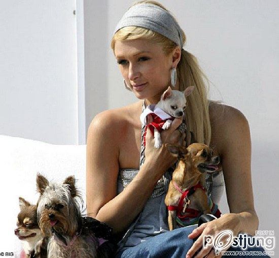 บ้านน้องหมา ของปารีส ฮิลตัน แค่ 10 ล้านเอง