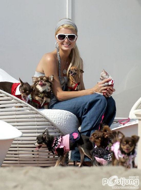 บ้านน้องหมา ของปารีส ฮิลตัน แค่ 10 ล้านเอง