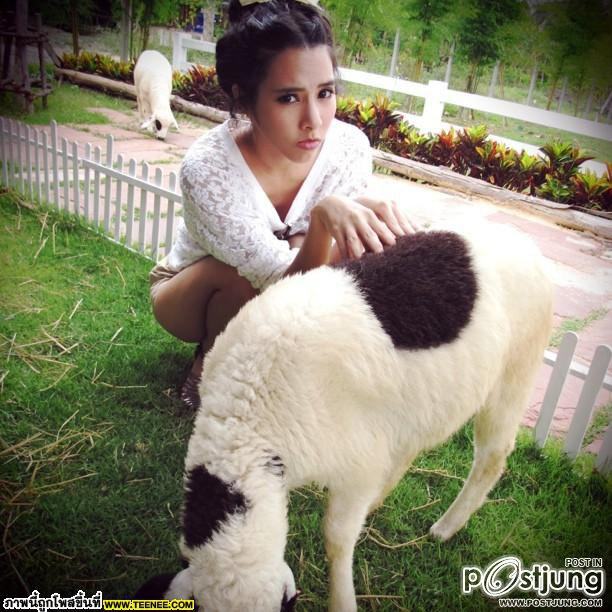 เบเบ้  หน้าเด็กตลอดกาล