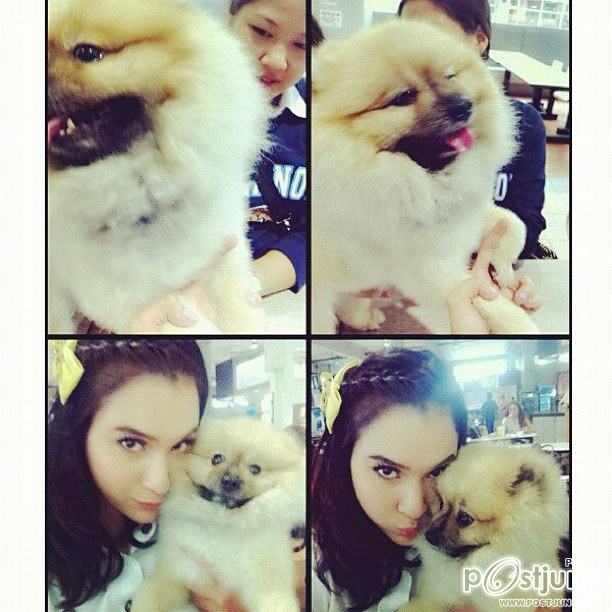 หยาดทิพย์ ราชปาล